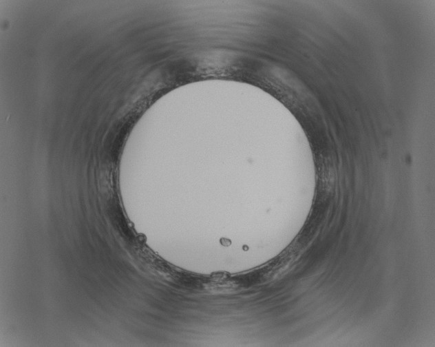 X0000078260603200612011656