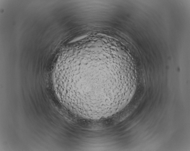 X0000078260604200612011656