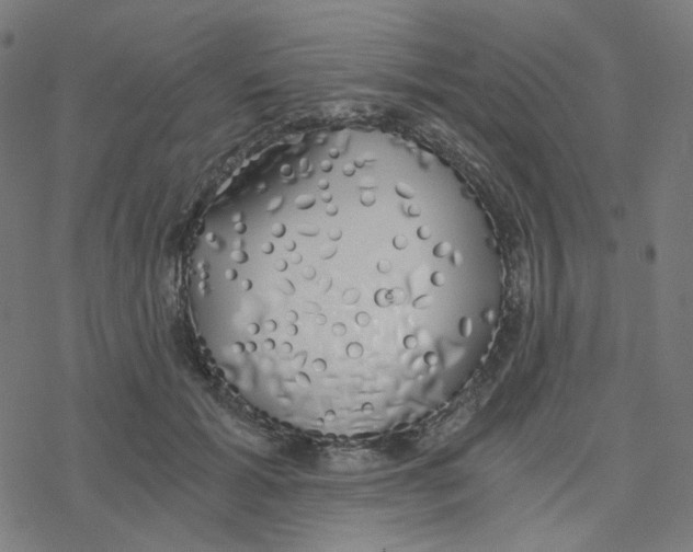 X0000078260605200612011656