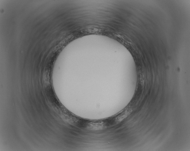 X0000078260606200612011656