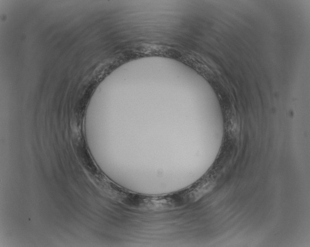 X0000078260607200612011656