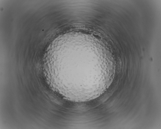 X0000078260609200612011656