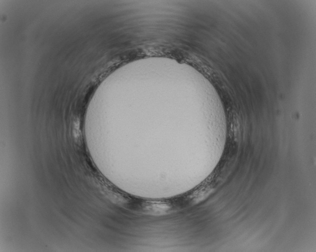 X0000078260610200612011656