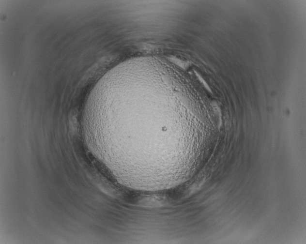 X0000078260611200612011656