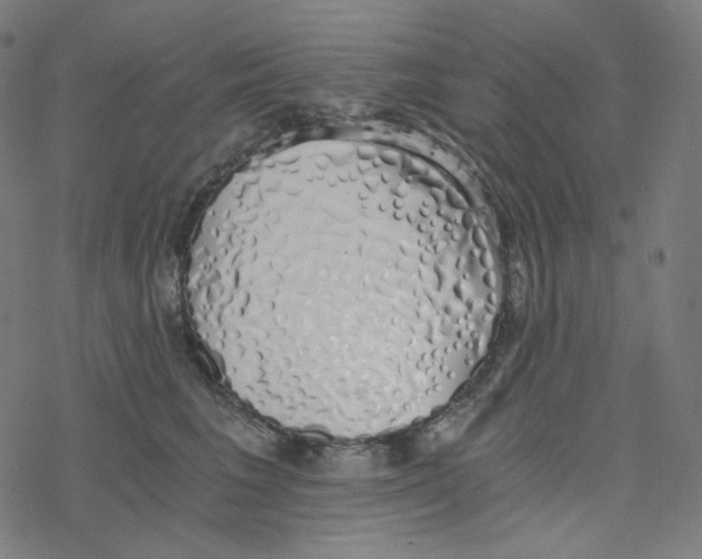 X0000078260613200612011656