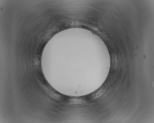 X0000078260614200612011656