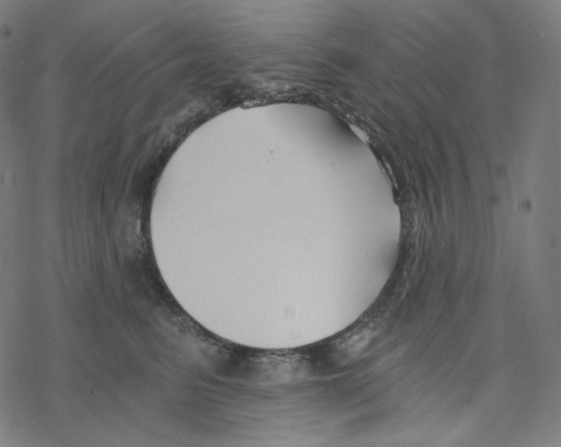 X0000078260615200612011656