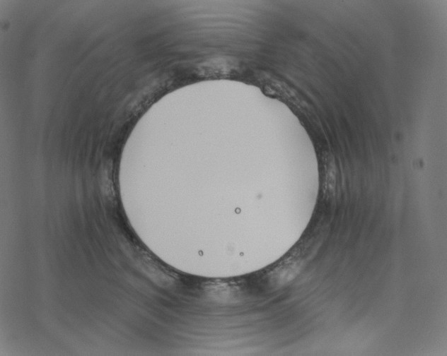 X0000078260616200612011656