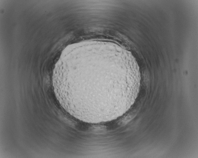 X0000078260617200612011656