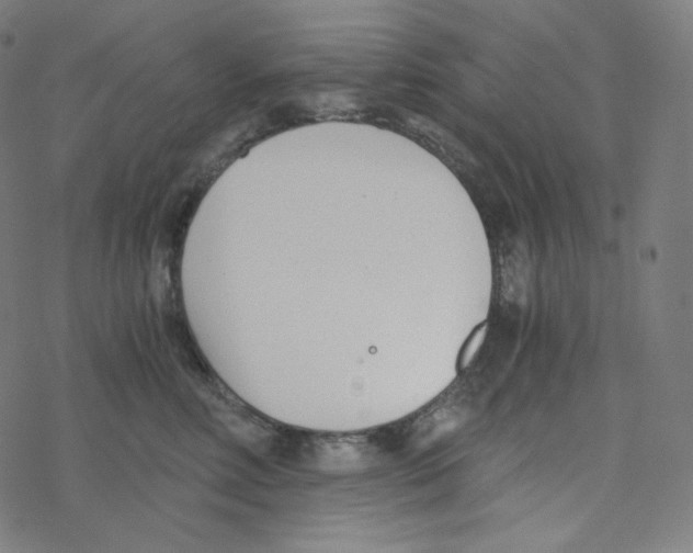 X0000078260618200612011656