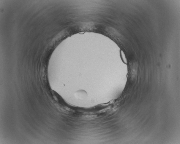 X0000078260619200612011656