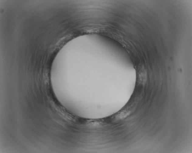 X0000078260620200612011656