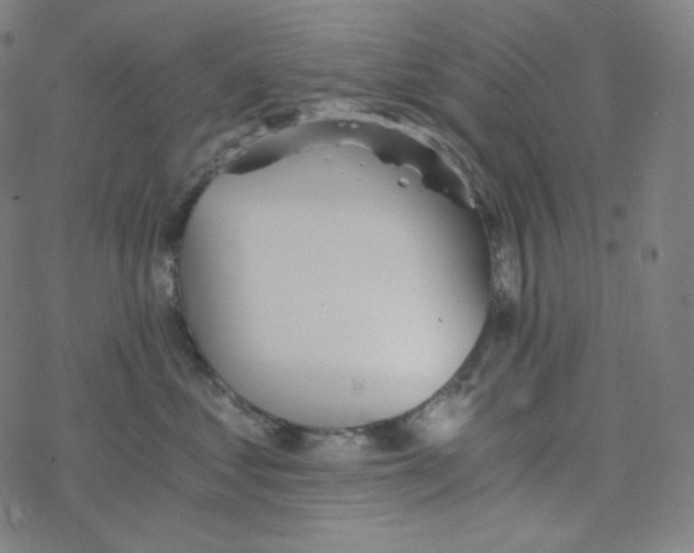 X0000078260621200612011656