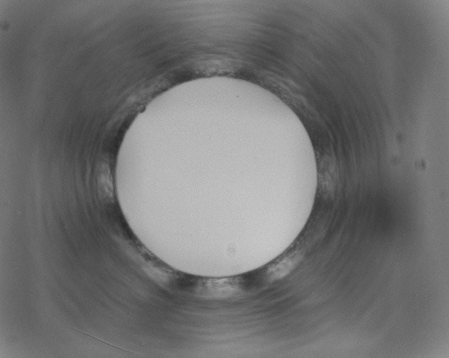 X0000078260622200612011656