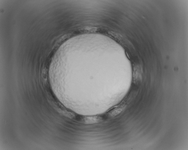 X0000078260623200612011656