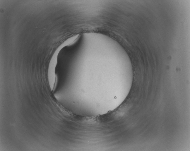 X0000078260624200612011656