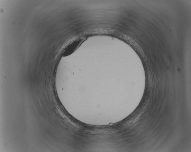 X0000078260625200612011655