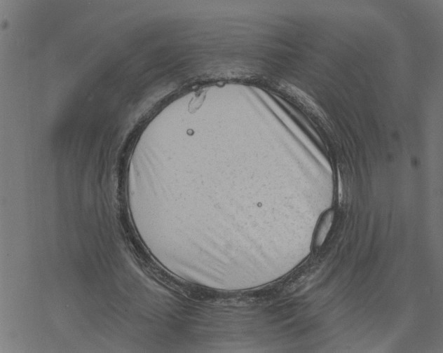 X0000078260627200612011655