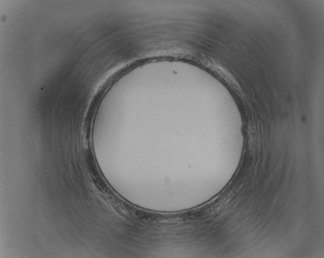 X0000078260628200612011655