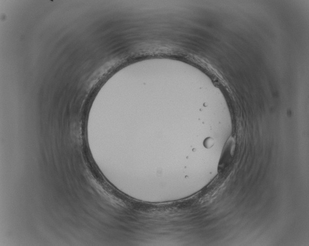 X0000078260629200612011655