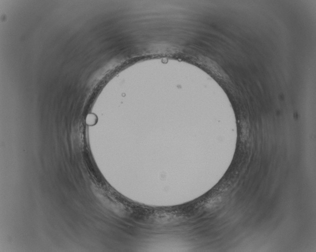 X0000078260632200612011655