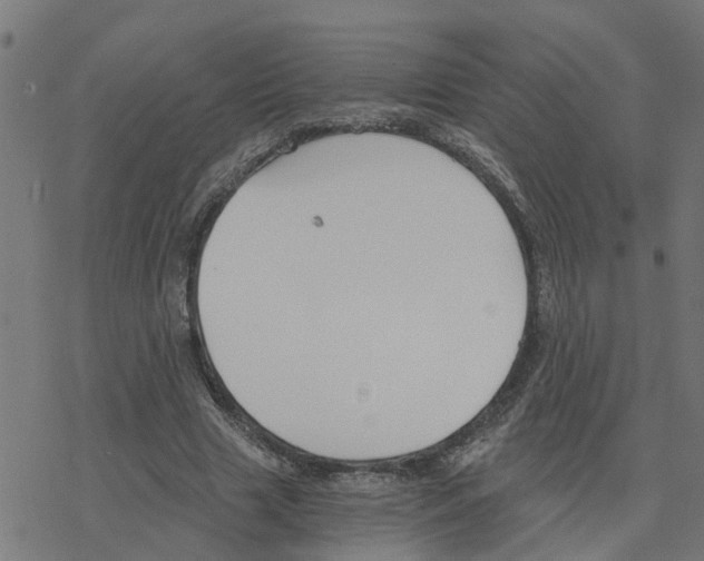 X0000078260633200612011655