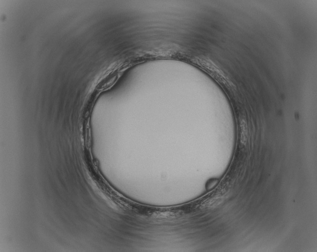 X0000078260634200612011655