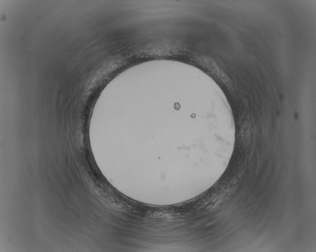 X0000078260635200612011655