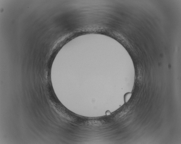 X0000078260636200612011655