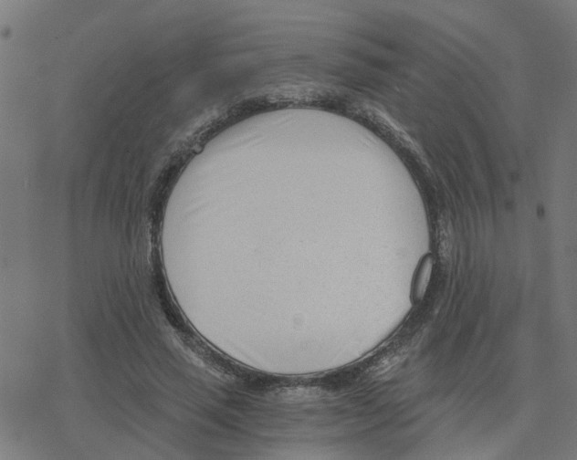 X0000078260637200612011655