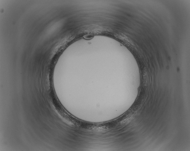 X0000078260638200612011655