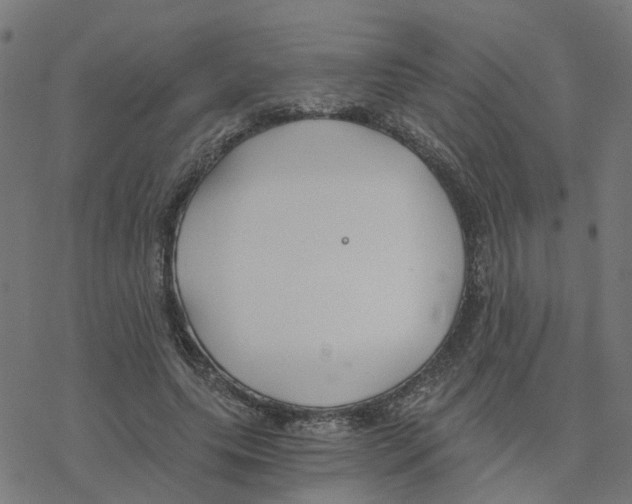 X0000078260639200612011655