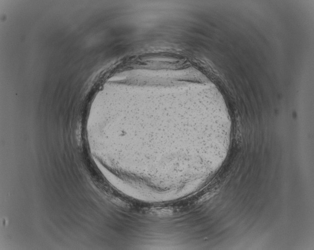 X0000078260640200612011655