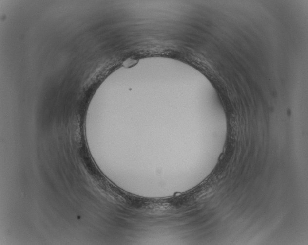 X0000078260642200612011655