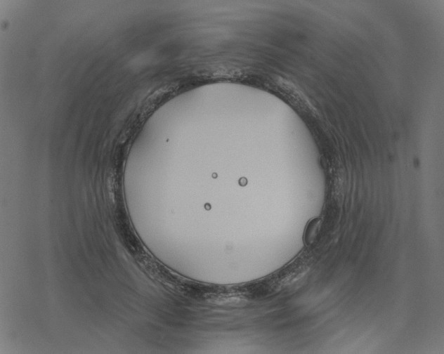 X0000078260643200612011655