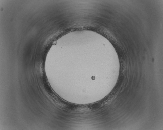 X0000078260644200612011655