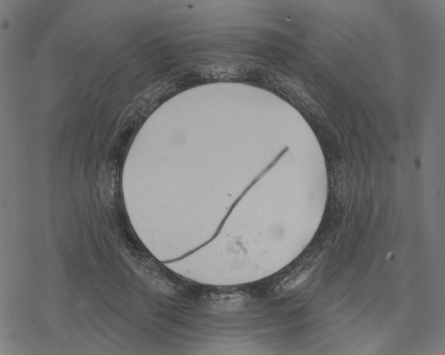 X0000078260645200612011655