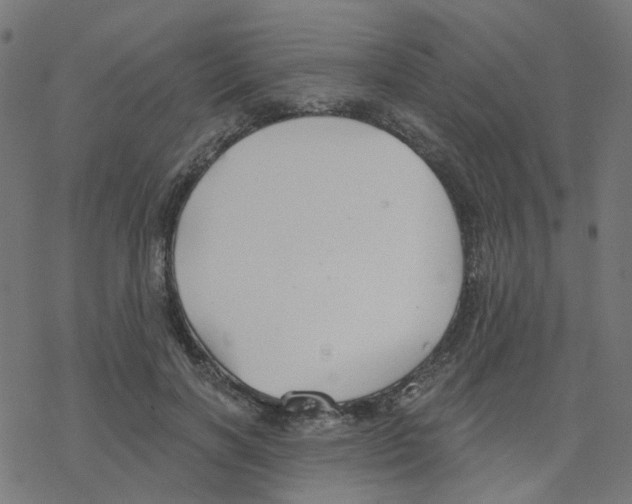 X0000078260646200612011655