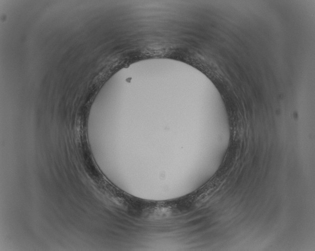 X0000078260647200612011655