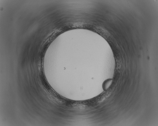 X0000078260648200612011655