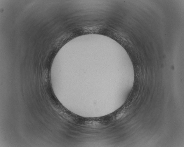 X0000078260649200612011655