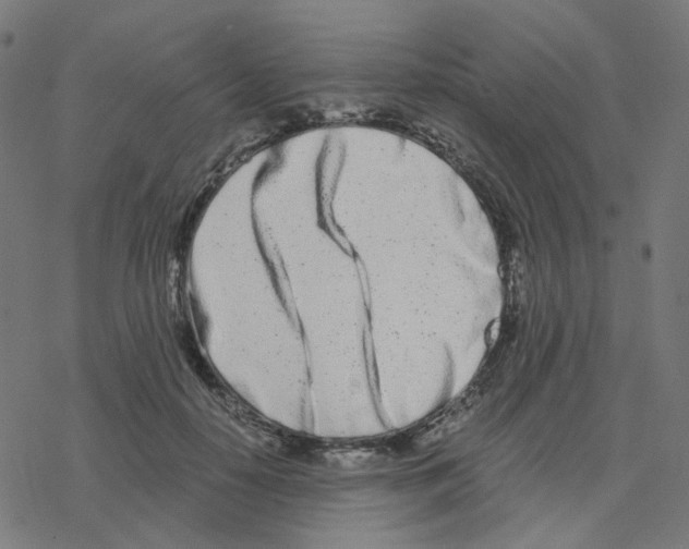 X0000078260650200612011655