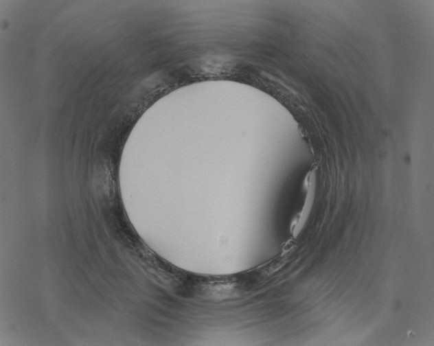 X0000078260651200612011655