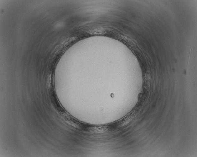 X0000078260652200612011655