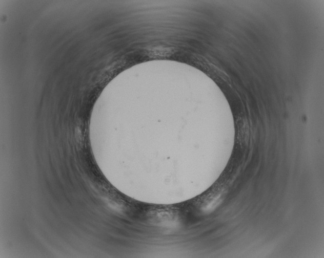 X0000078260655200612011655