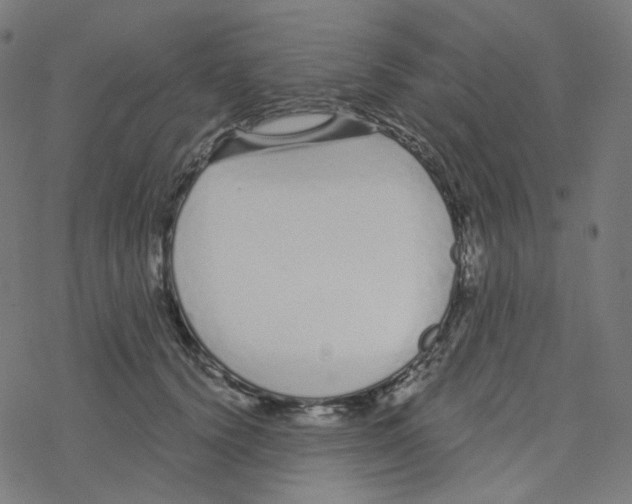 X0000078260656200612011655