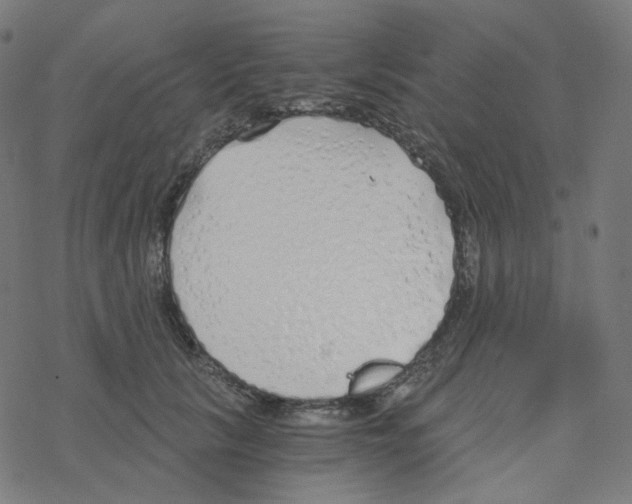 X0000078260657200612011656