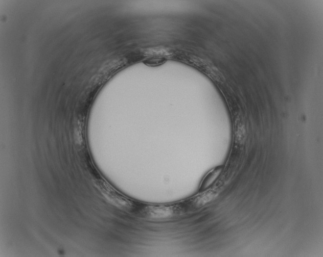 X0000078260658200612011656