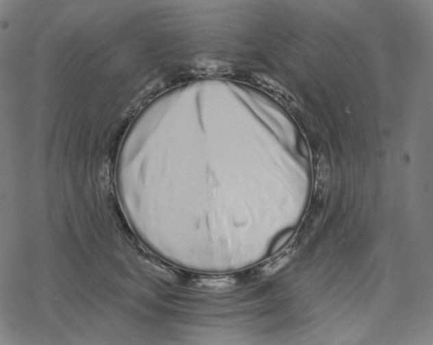 X0000078260659200612011656