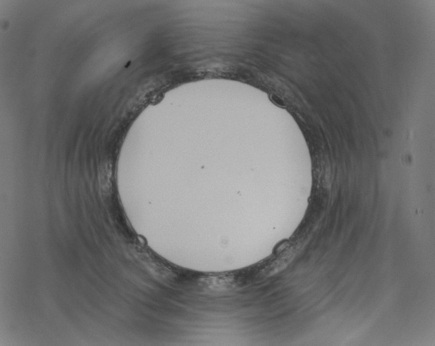 X0000078260660200612011656